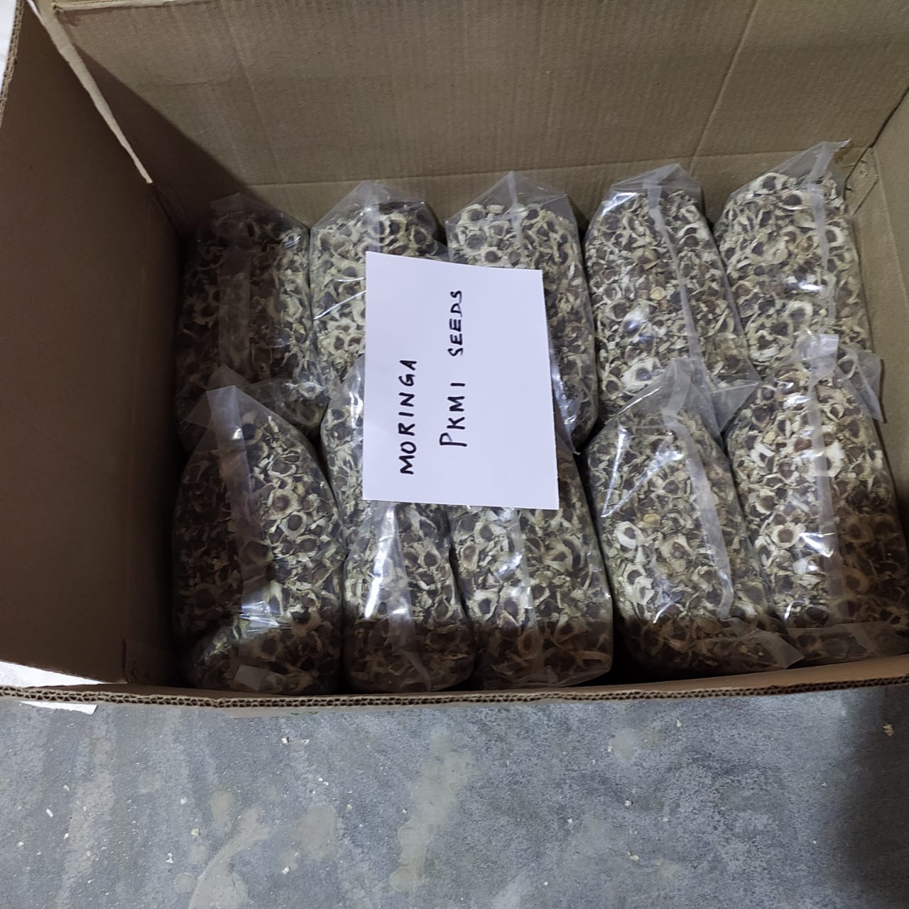 SVM Exports MORINGA PKM1 SEEDS
